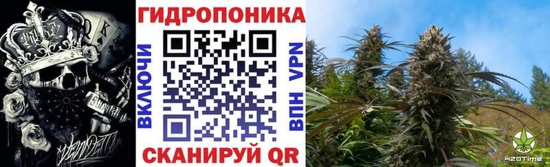 Марихуана индика  продажа наркотиков  Реж 